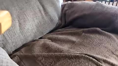 jay online show from 20, 11, 2025