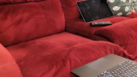 D online show from 20, 2, 2026