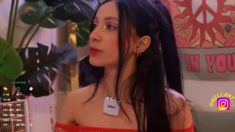 Nell. online show from 13, 2, 2026