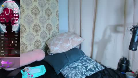 Snapshot of anya_weisz chatting on 29, 12, 2024 Camila online show from 29, 12, 2024