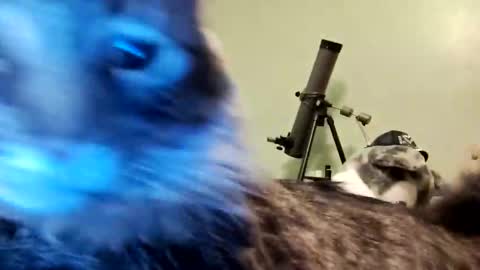 Aphrodite60 online show from 12, 1, 2025