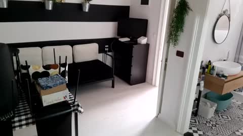 apollobest77 online show from 19, 1, 2025