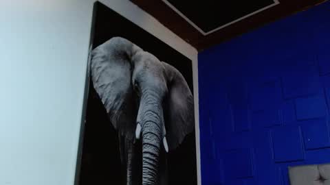 Apolo online show from 11, 2, 2025