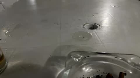 Snapshot of appelsapje4 chatting on 24, 11, 2025 appelsapje4 online show from 24, 11, 2025