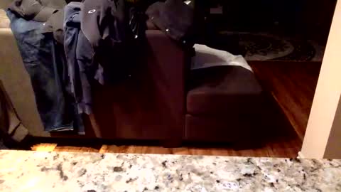 Knowledgeiskeyy online show from 16, 1, 2026