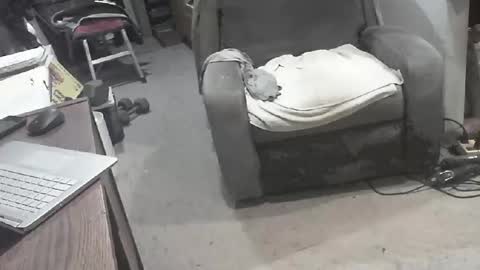 arealshowoff online show from 22, 3, 2026