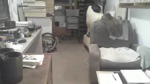 arealshowoff online show from 16, 4, 2026