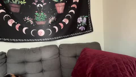 Snapshot of aria_fields_ chatting on 4, 12, 2024 Aria Fields online show from 4, 12, 2024