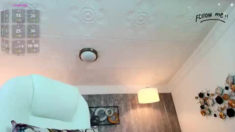 Snapshot of aria_li chatting on 1, 11, 2025 aria online show from 1, 11, 2025