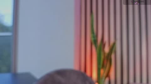 Ariana online show from 20, 7, 2026