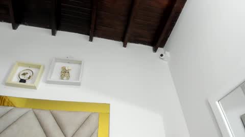  ARI  online show from 11, 1, 2025