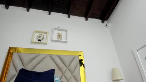  ARI  online show from 14, 1, 2025