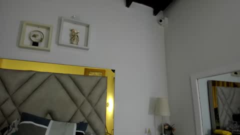  ARI  online show from 18, 1, 2025