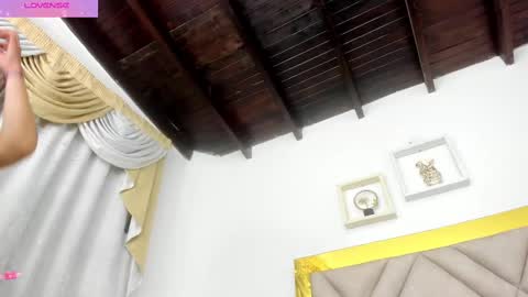  ARI  online show from 7, 3, 2025