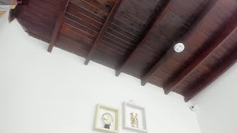  ARI  online show from 8, 3, 2025