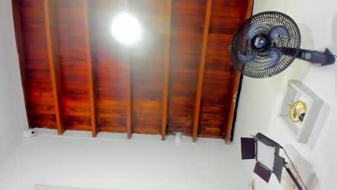  ARI  online show from 16, 12, 2025