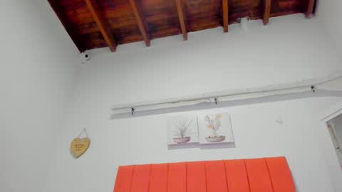  ARI  online show from 18, 12, 2025