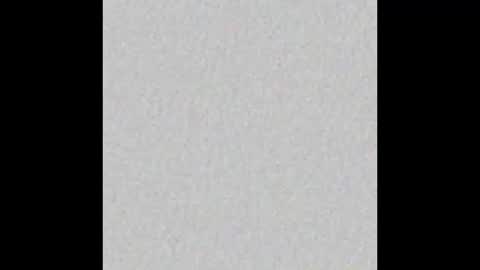 Arianna Collins online show from 19, 2, 2026