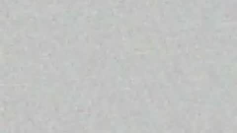 Arianna Collins online show from 31, 3, 2026