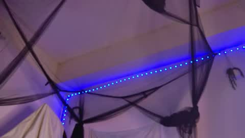 Aria online show from 4, 2, 2026