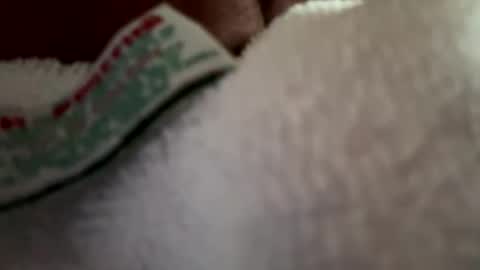 arley1966 online show from 2, 4, 2026