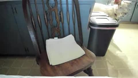 Snapshot of armalite16 chatting on 13, 11, 2025 armalite16 online show from 13, 11, 2025