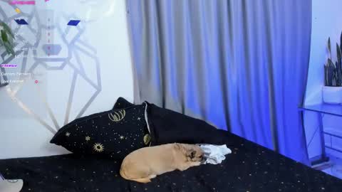 Aron Santoro online show from 12, 1, 2025