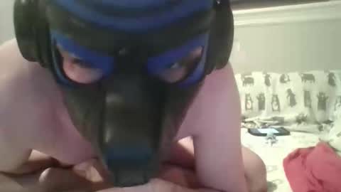 arrowpup online show from 5, 6, 2026