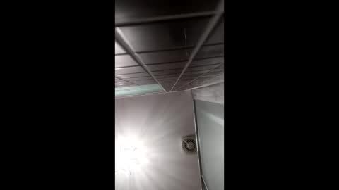 art2414 online show from 6, 4, 2026