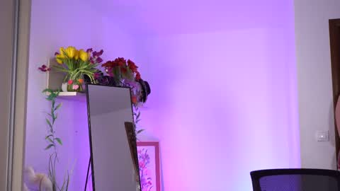 Snapshot of artofboobs chatting on 2, 3, 2025 Amalia online show from 2, 3, 2025