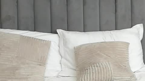 Snapshot of aryatessa chatting on 25, 2, 2025 AryaTessa online show from 25, 2, 2025