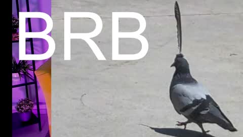 AshleyAshe  online show from 7, 3, 2025