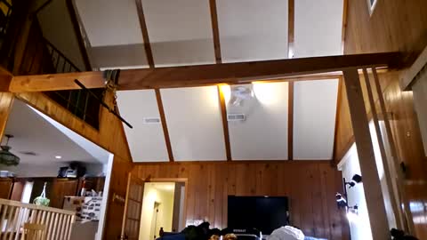 Ashelynn Grey online show from 27, 2, 2025