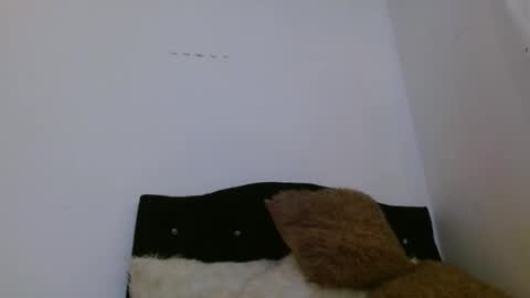 ASHLEY online show from 5, 4, 2026