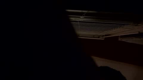 ashlynnblackx online show from 21, 4, 2026