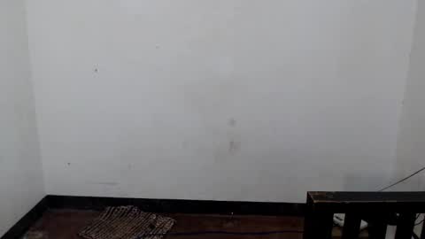 Shane online show from 5, 12, 2025