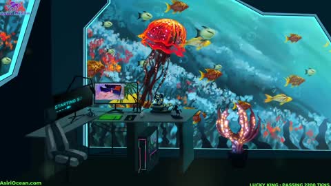 Asiri   pronounced Ah-siri Please no nicknames   3 online show from 27, 3, 2026