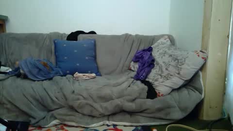 aspiringturtlegirl online show from 16, 2, 2026