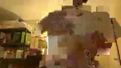 Patty online show from 30, 11, 2025