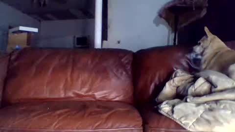 Tell me spread and Ill spread online show from 15, 12, 2025