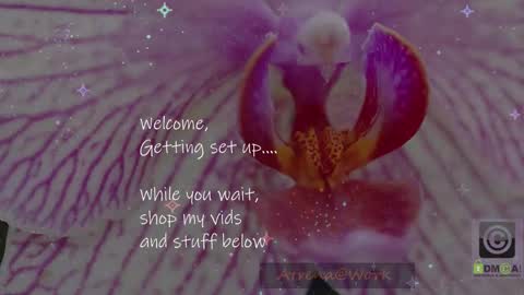 Atrena online show from 15, 1, 2026