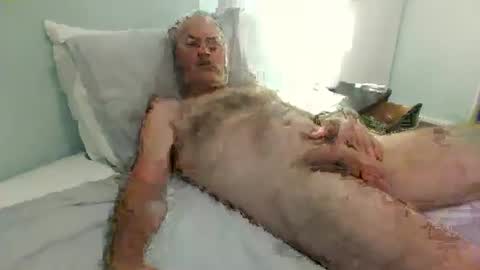 auckland26 online show from 2, 12, 2025