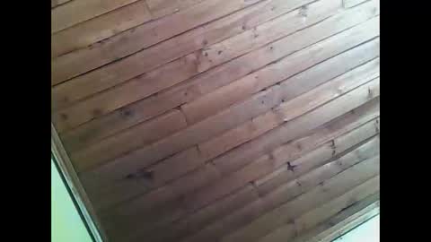 Snapshot of audrey468570 chatting on 6, 3, 2026 audrey468570 online show from 6, 3, 2026