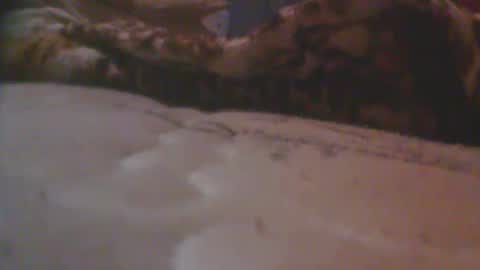 love spouse 768785628 online show from 18, 5, 2026
