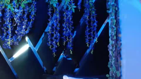 Snapshot of aurora18palmer chatting on 18, 9, 2025 aurora online show from 18, 9, 2025