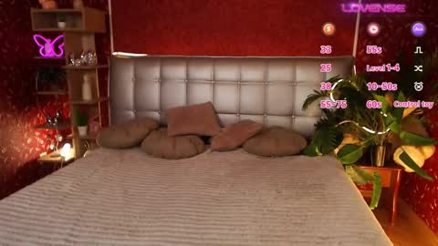 Aurora online show from 19, 2, 2025