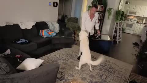 Aurora and Orion online show from 16, 10, 2025