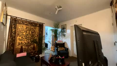 Snapshot of auroranightsxxx chatting on 2, 4, 2026 Destiny Nicole online show from 2, 4, 2026