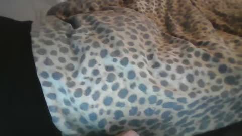 Aussiecockpumper76 online show from 4, 3, 2025