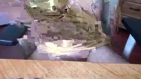 Snapshot of aussielatino82 chatting on 5, 3, 2025 Rich online show from 5, 3, 2025